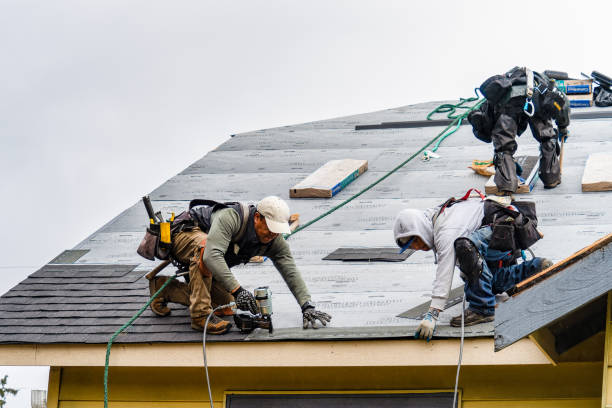 Professional Flat Roof Repair technician working in Oakland City, IN